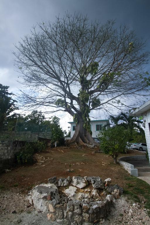 Rocky Top Retreat Negril Buitenkant foto